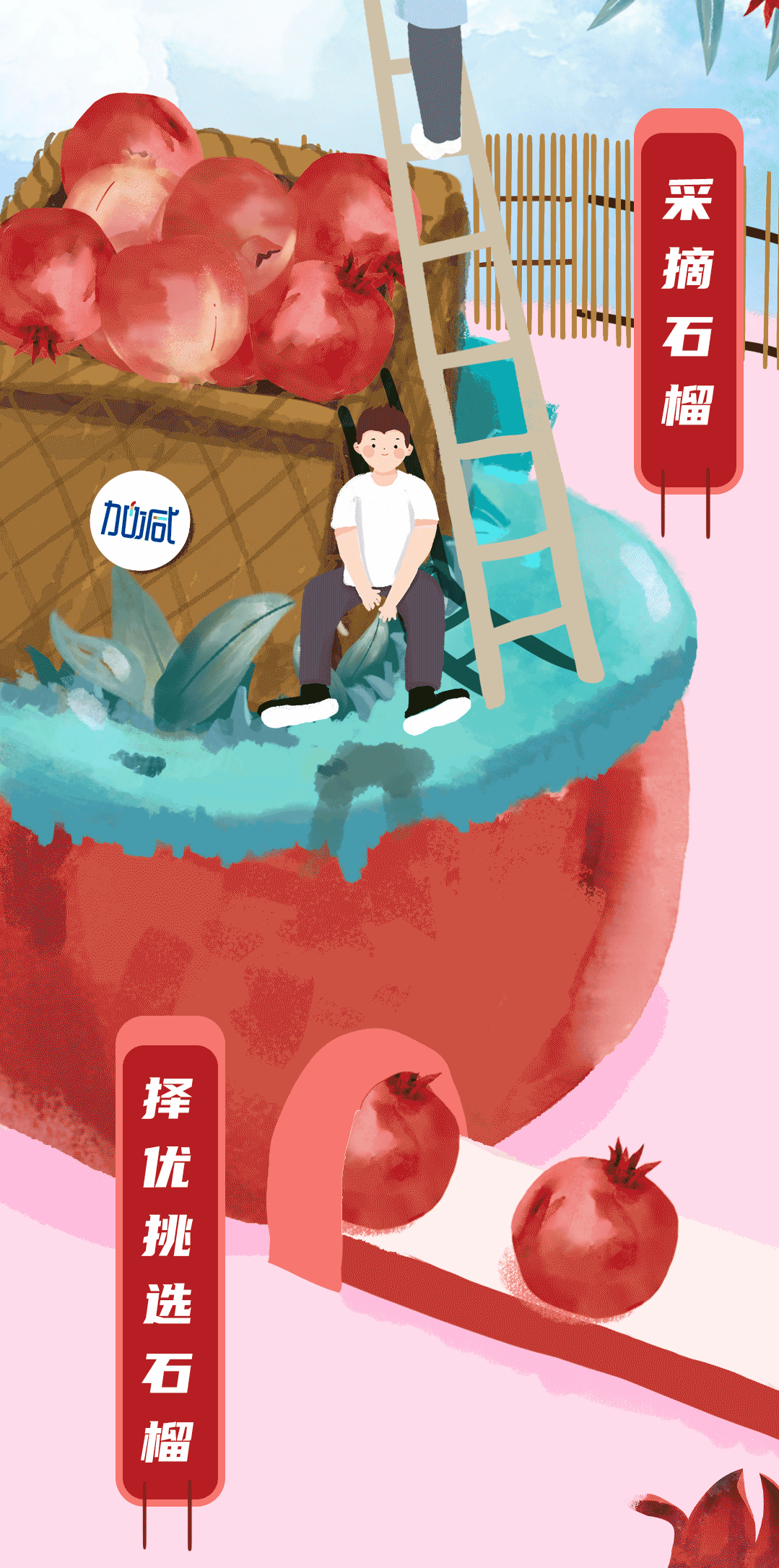 z6com·尊龙(中国)时凯集团茶饮石榴新品